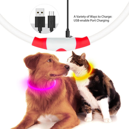 LED Dog Collar USB Rechargeable Glowing Pet Collars Lighted Up Safety Necklace Glow In The Dark For You Your Dogs