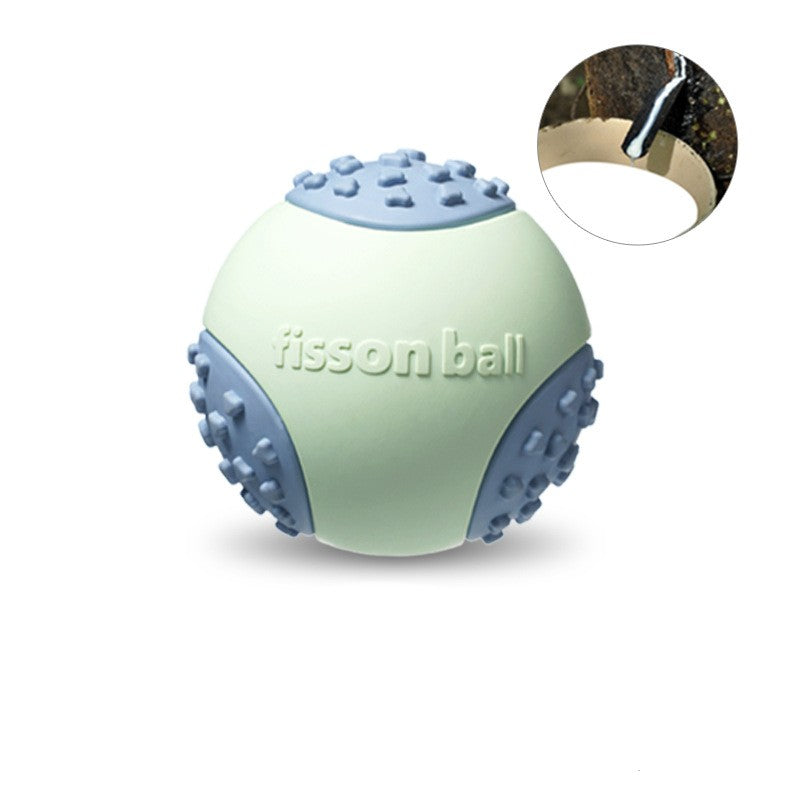 Floating Interactive Rubber Dog Toy Ball